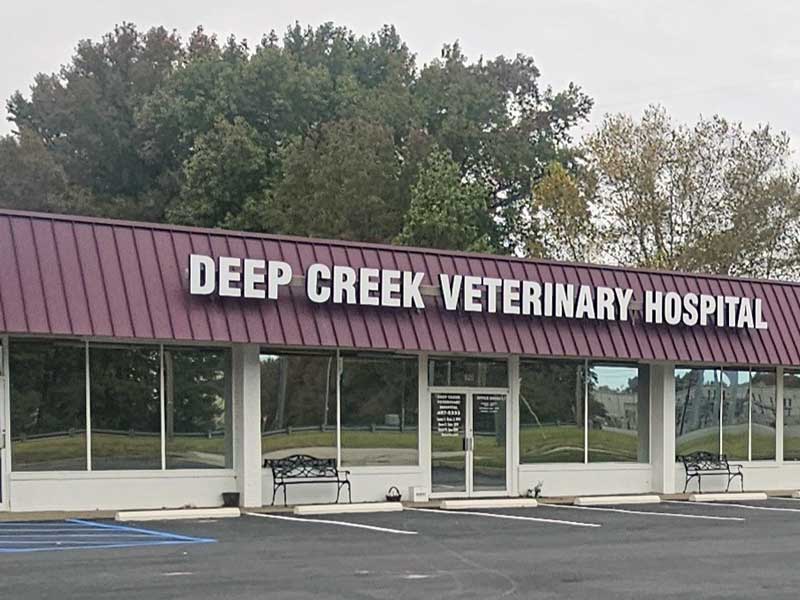 Chesapeake Pet Hospital