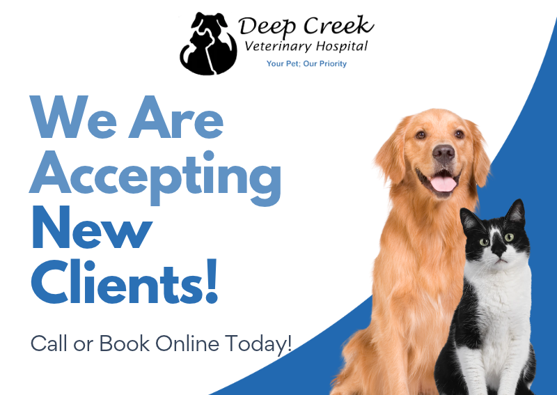Carousel Slide 1: Book an appointment>>